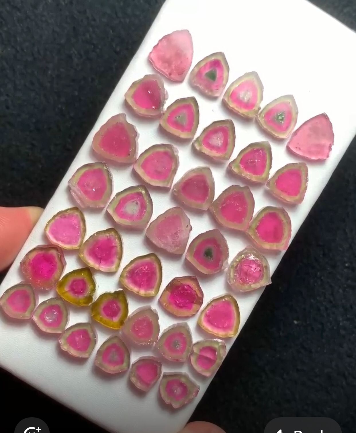 74 Carat Watermelon Tourmaline Slices Gemstone Deal from Afghanistan