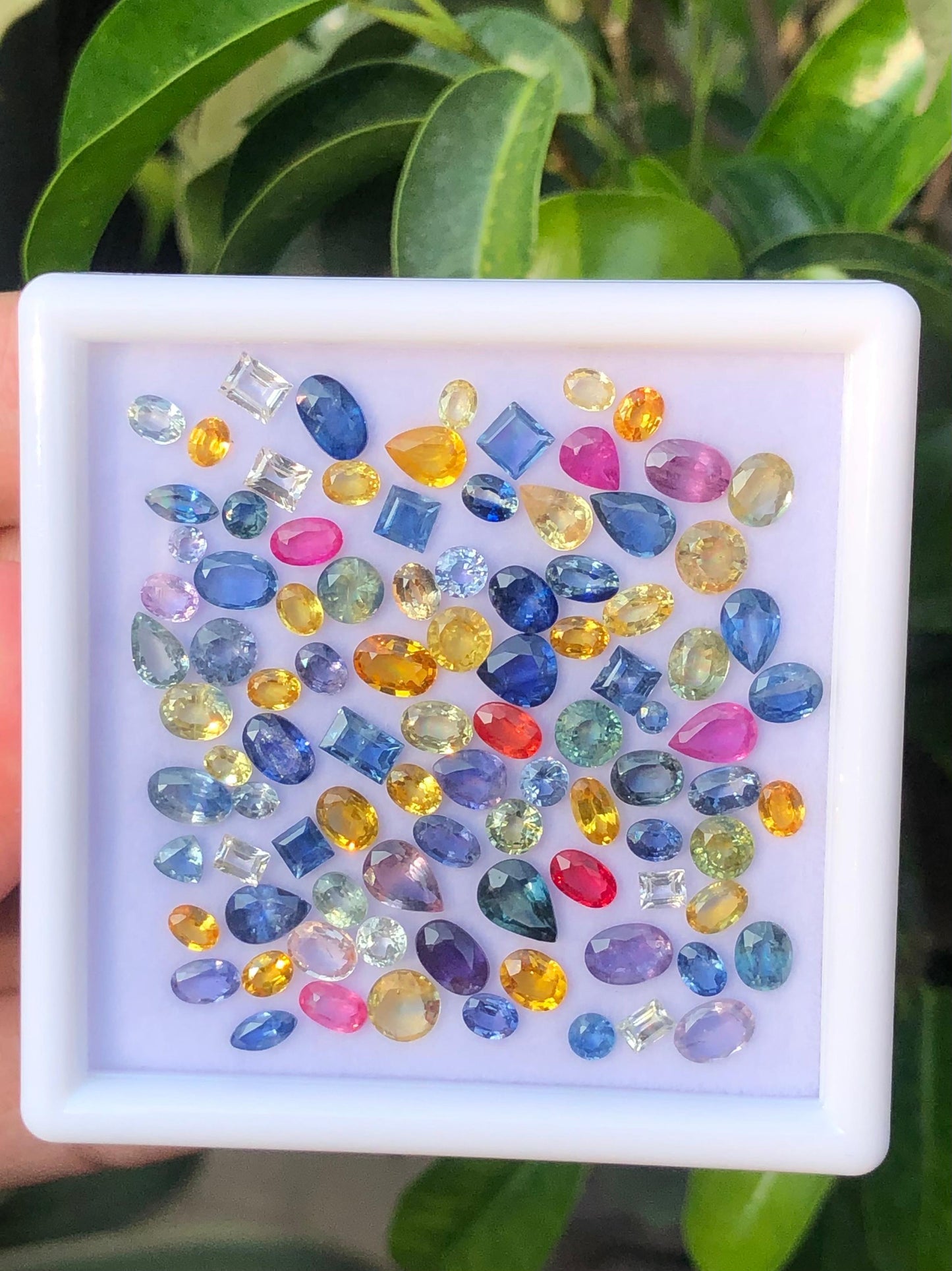 32 Carats Fancy Color Loose Sapphires Stone Deal