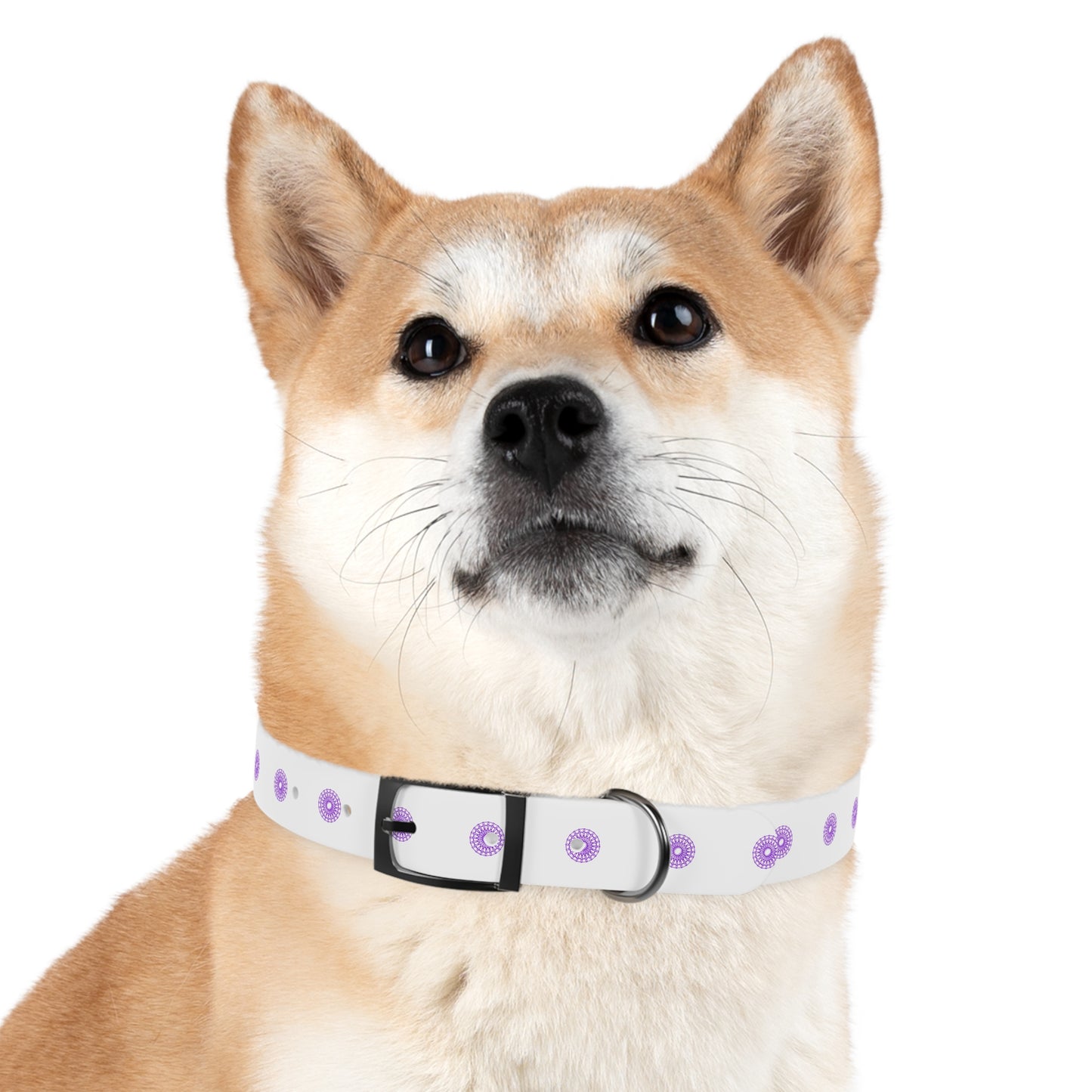 Born Mystics White and Purple Dog Collar