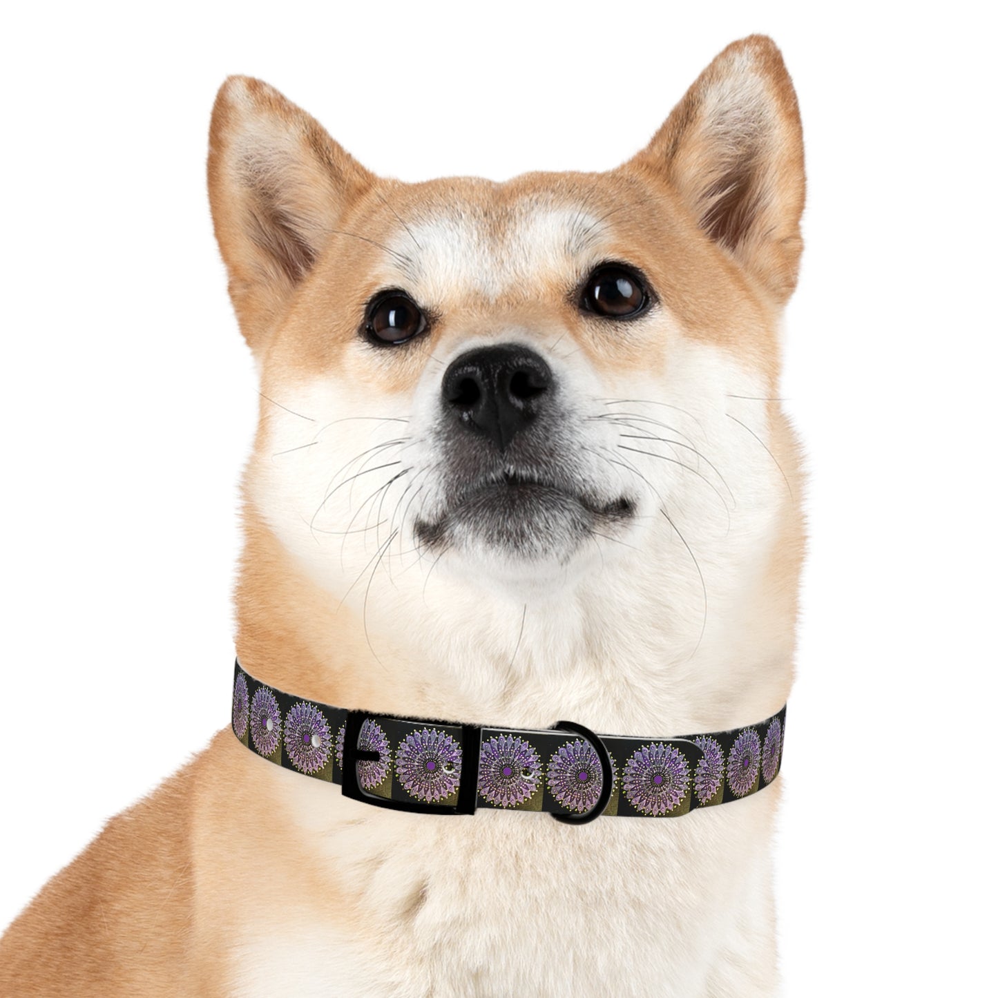 Mandala Dog Collar