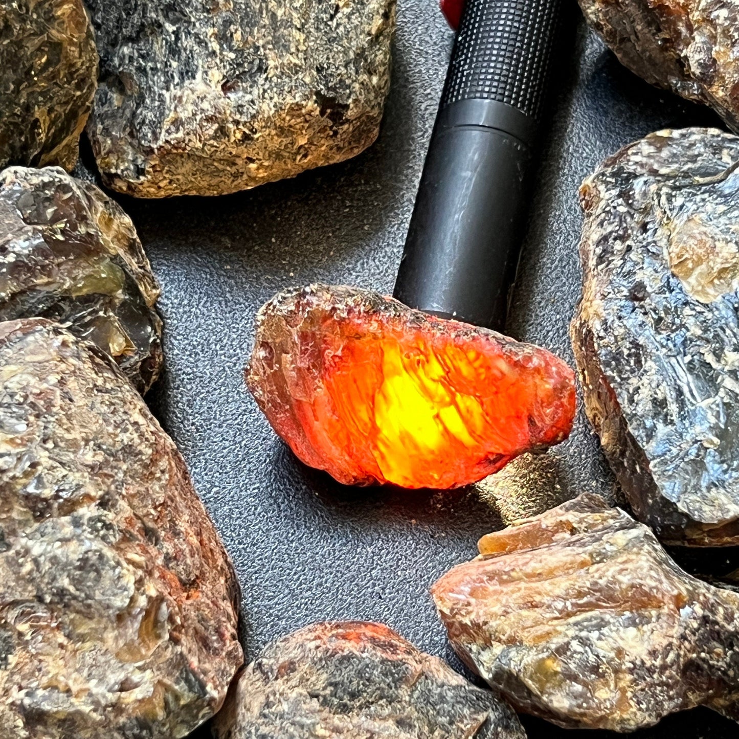 Black Amber Fossilized Tree Resin Mixed Sizes Rough Raw Stones (By The Piece or Pound)(UV Reactive) Wholesale