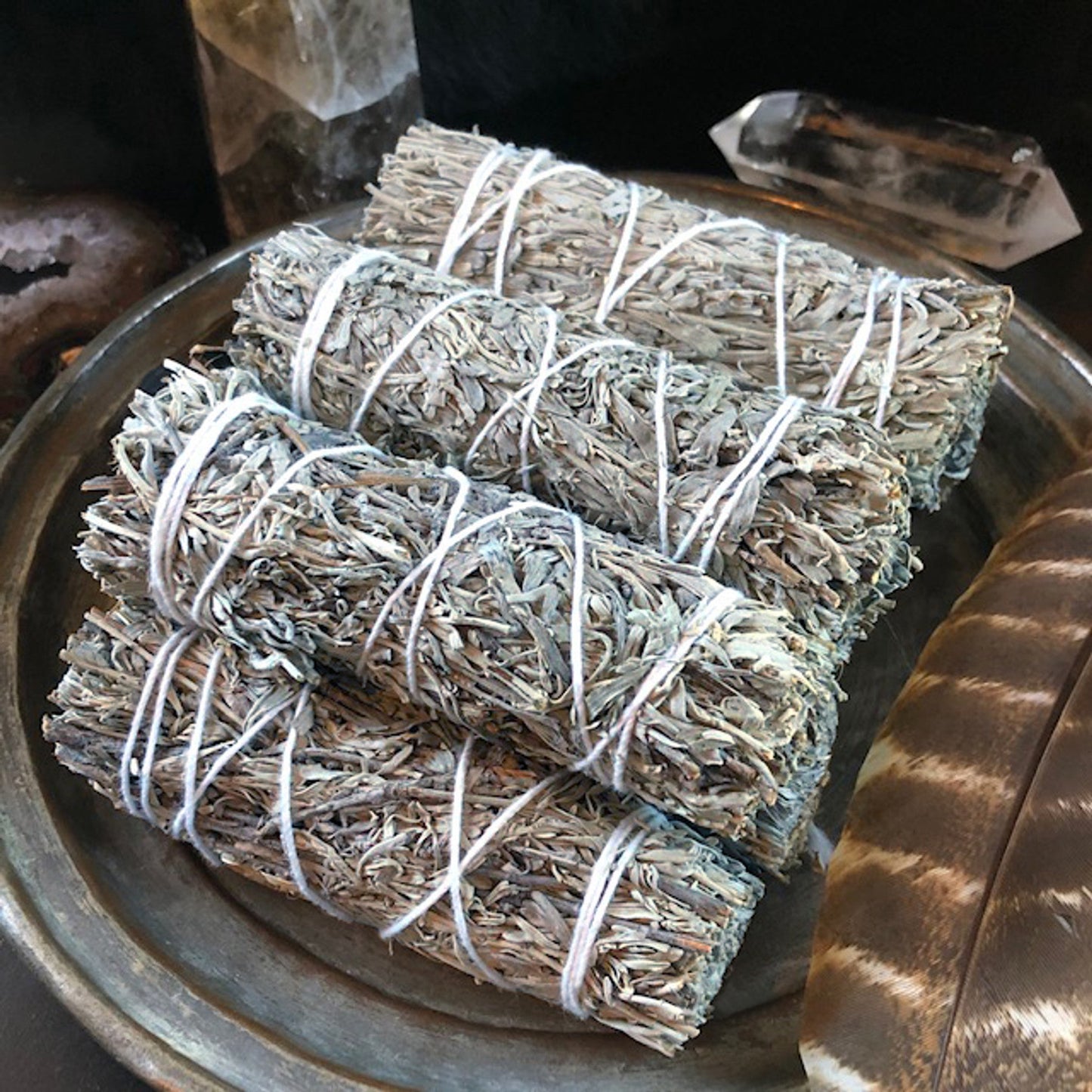 Blue Sage - 4" Sustainably Harvested