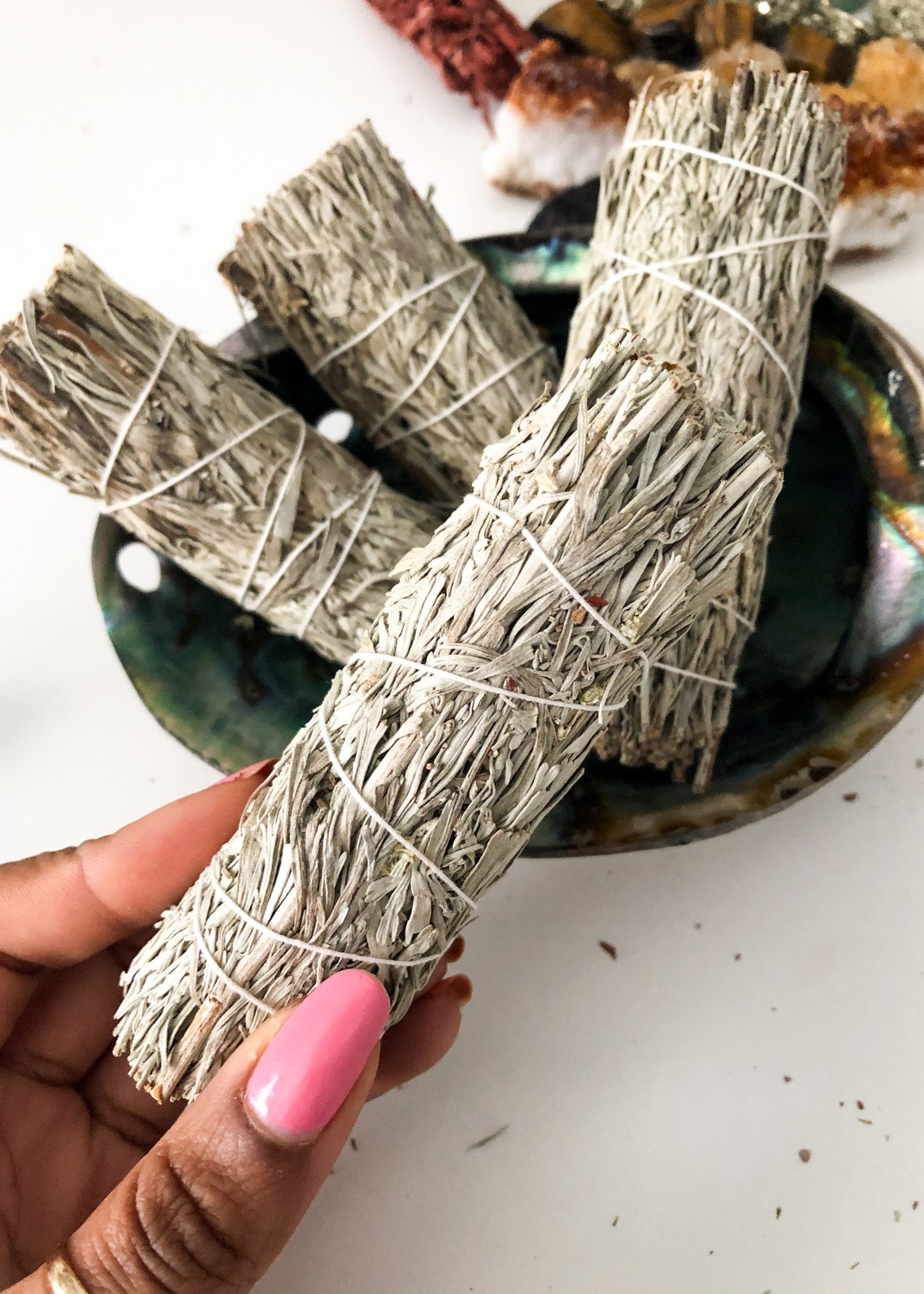 Blue Sage - 4" Sustainably Harvested