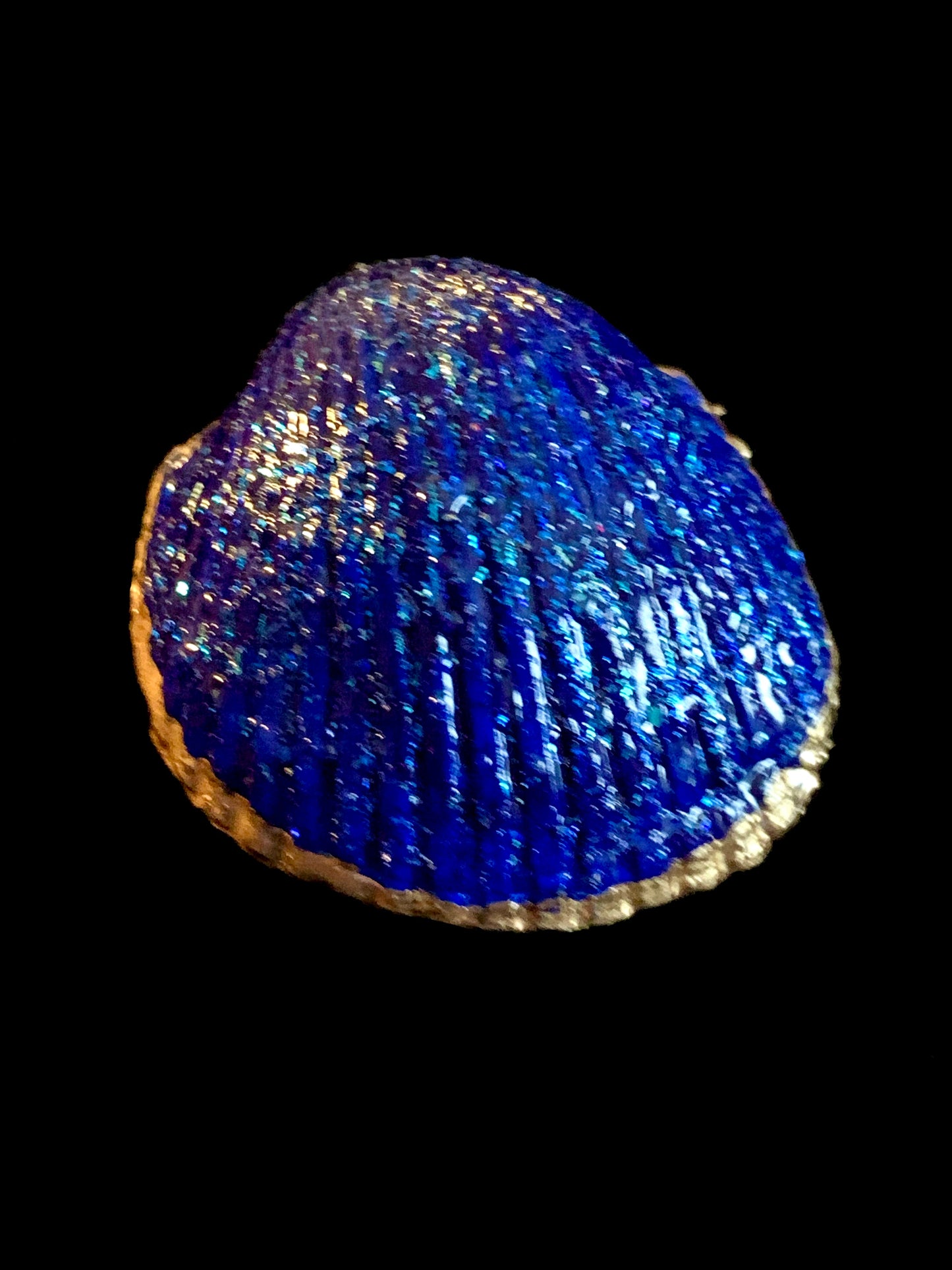 Assorted Decorated Sea Shells (Cosmic Blue Ring and Trinket Dish)