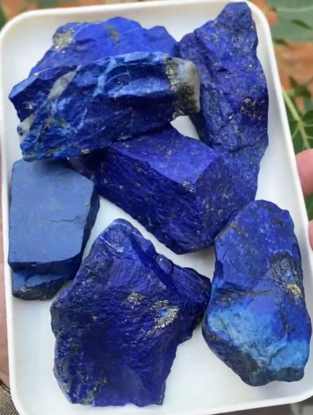 1 KG Blue Rough Lapis Lazuli with Golden Pyrite - Bulk Raw Lapislazulli Deal