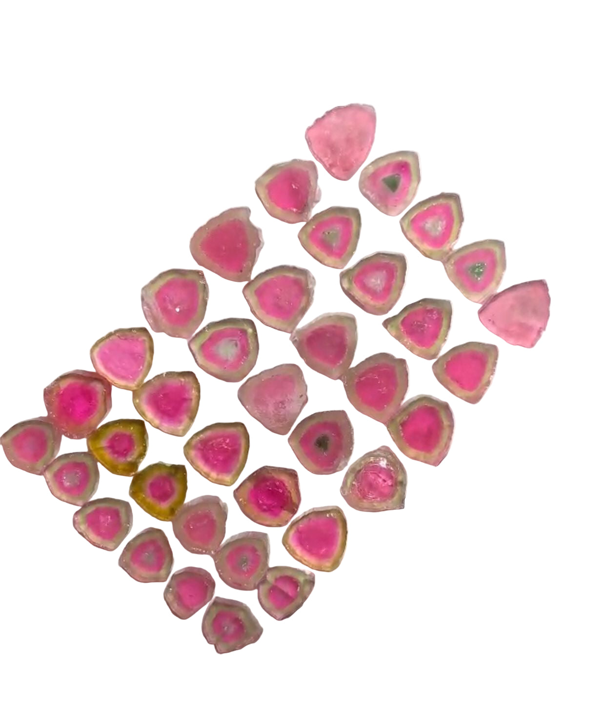 74 Carat Watermelon Tourmaline Slices Gemstone Deal from Afghanistan