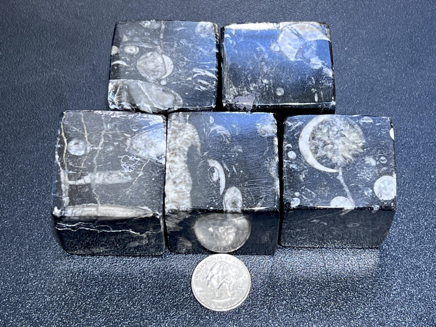 Orthoceras Fossil Cube Stone Carving Gemstone Decor Supply Bulk Wholesale