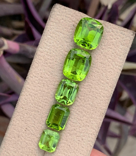5 Pieces Green Peridot Loose Gemstone Deals