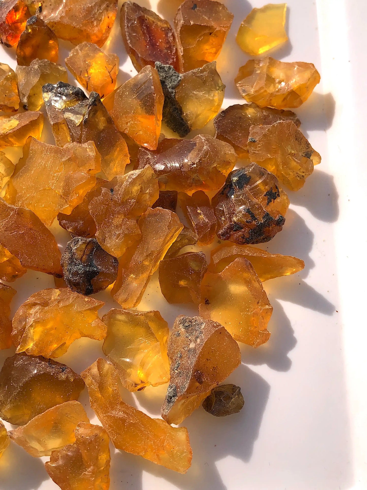 40 Grams Natural Fossilised Amber With Plant Debris Traces and Mineral Specks