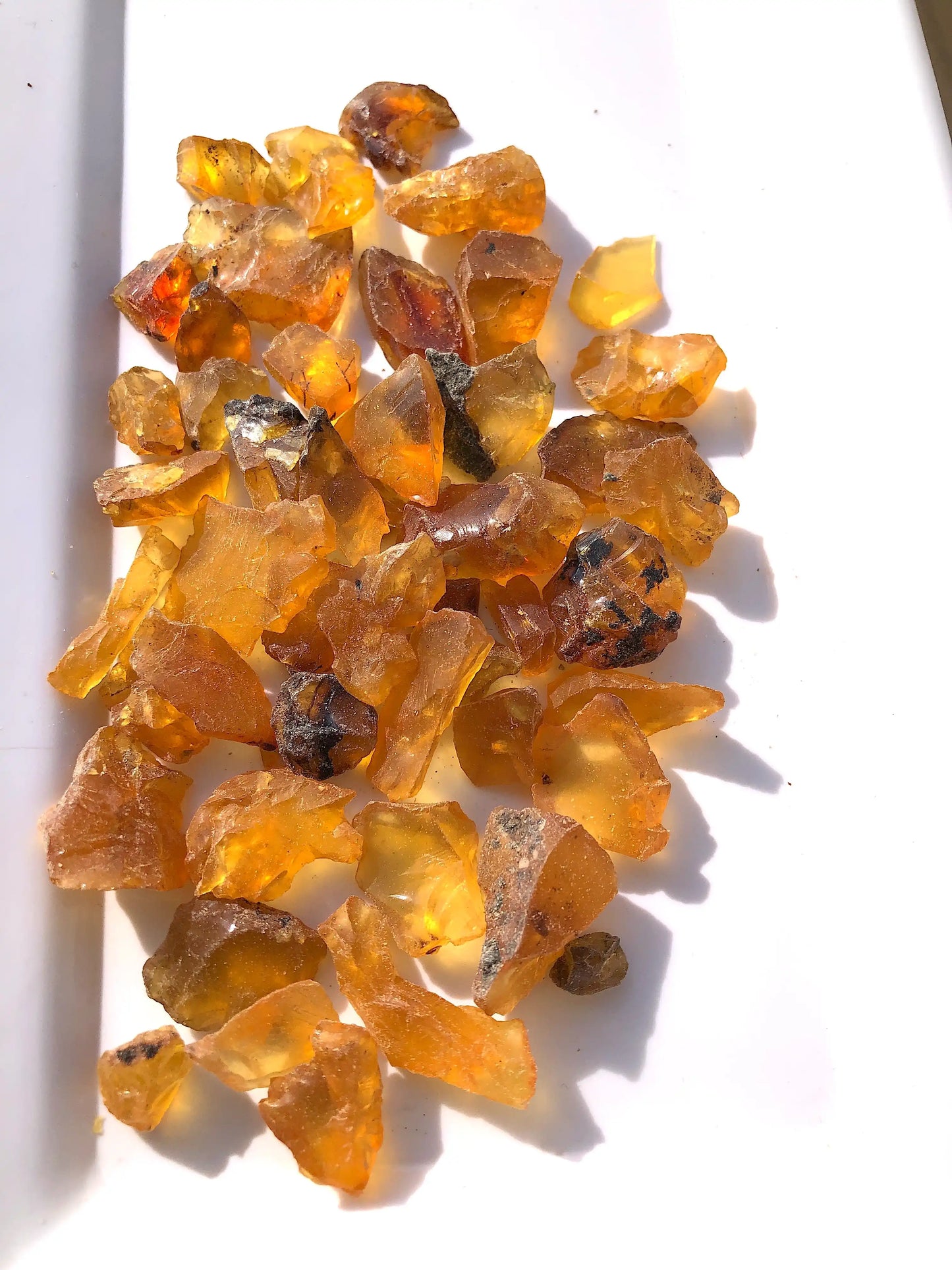 40 Grams Natural Fossilised Amber With Plant Debris Traces and Mineral Specks